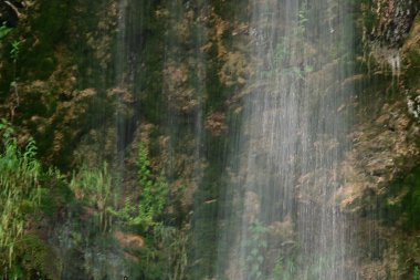 Ormanda güzel bir şelale