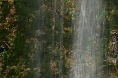 Ormanda güzel bir şelale