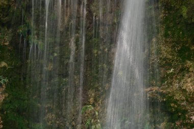 Ormanda güzel bir şelale