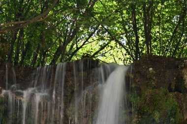 Ormanda güzel bir şelale