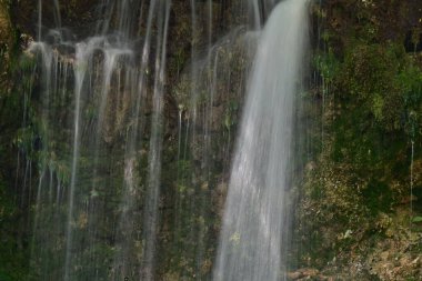 Ormanda güzel bir şelale