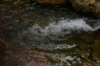 Ormanda güzel bir şelale