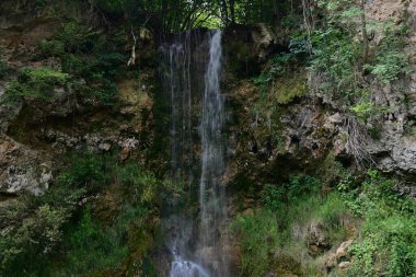 Ormanda güzel bir şelale