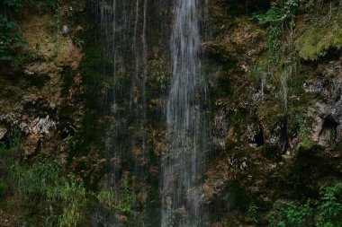 Ormanda güzel bir şelale