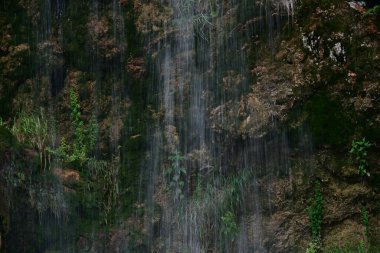 Ormanda güzel bir şelale