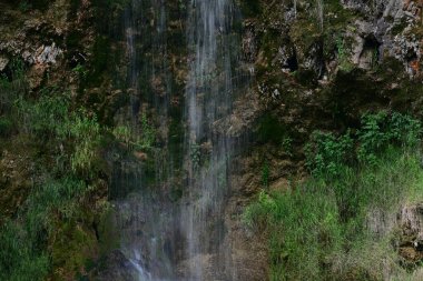 Ormanda güzel bir şelale