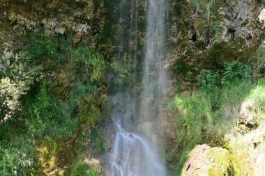 Ormanda güzel bir şelale