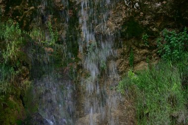 Ormanda güzel bir şelale