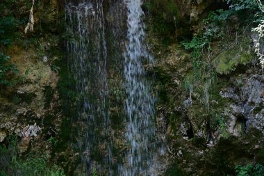 Ormanda güzel bir şelale