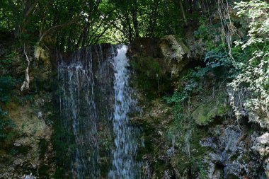 Ormanda güzel bir şelale