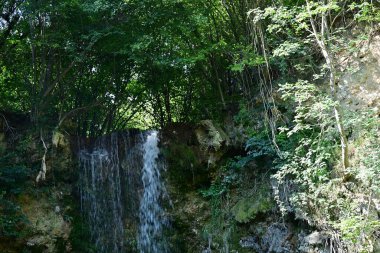 Ormanda güzel bir şelale