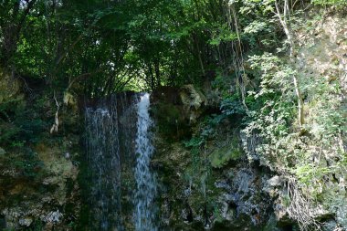 Ormanda güzel bir şelale