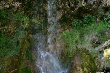 Ormanda güzel bir şelale