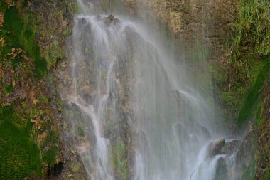 Ormanda güzel bir şelale