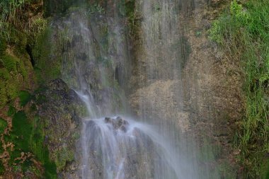 Ormanda güzel bir şelale