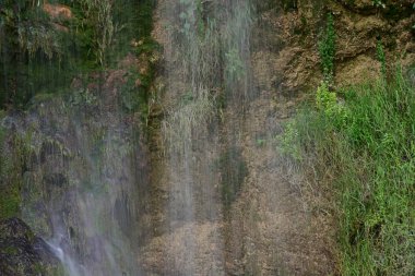 Ormanda güzel bir şelale