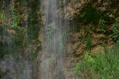 Ormanda güzel bir şelale