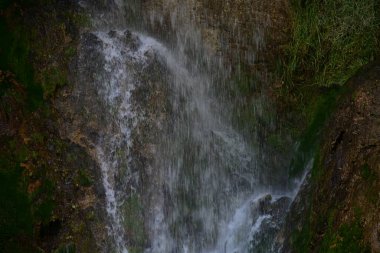 Ormanda güzel bir şelale