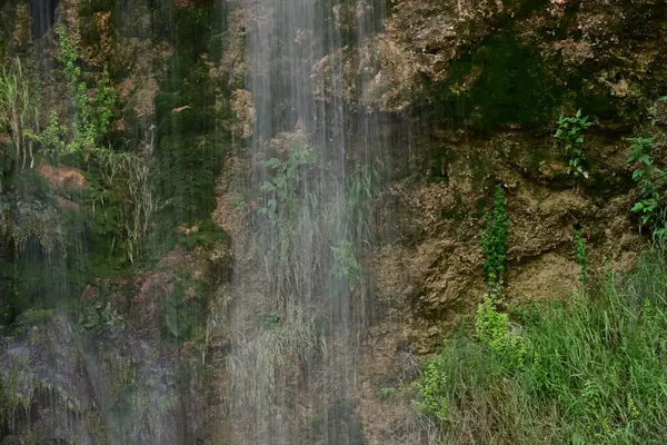 Ormanda güzel bir şelale