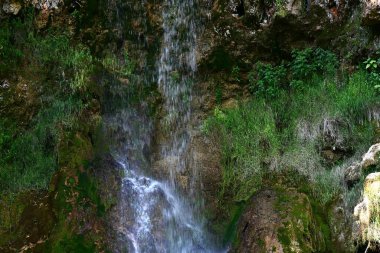 Ormanda güzel bir şelale