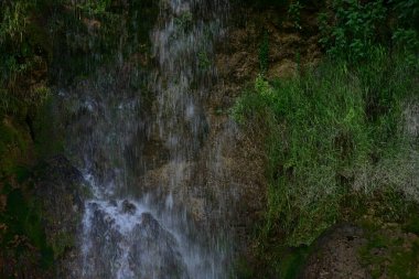 Ormanda güzel bir şelale