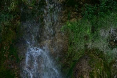 Ormanda güzel bir şelale