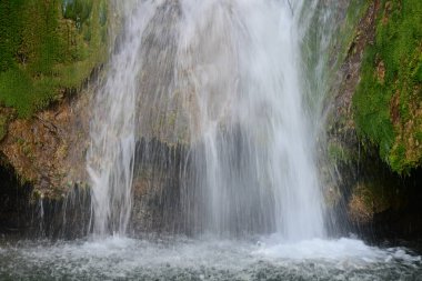 Ormanda güzel bir şelale