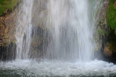 Ormanda güzel bir şelale