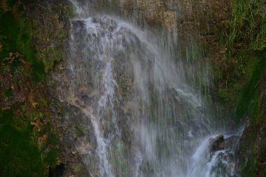 Ormanda güzel bir şelale