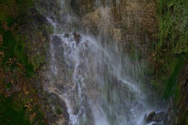 Ormanda güzel bir şelale
