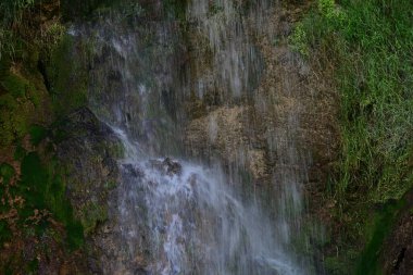 Ormanda güzel bir şelale
