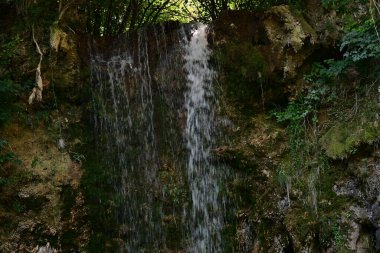 Ormanda güzel bir şelale