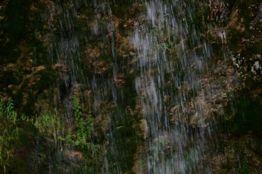 Ormanda güzel bir şelale