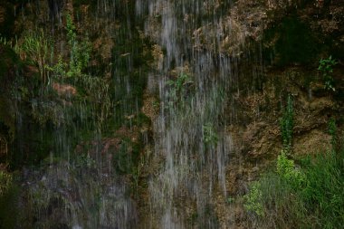 Ormanda güzel bir şelale
