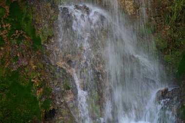 Ormanda güzel bir şelale