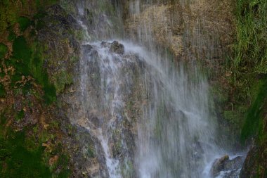 Ormanda güzel bir şelale