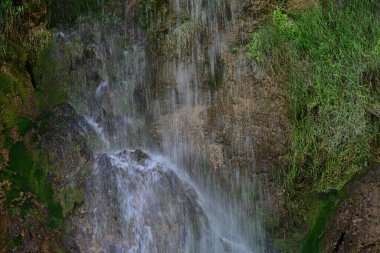 Ormanda güzel bir şelale