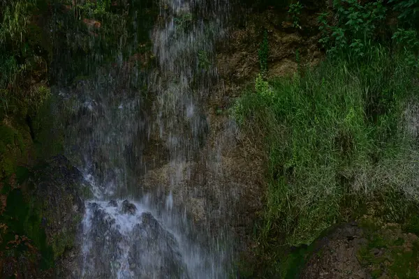 Ormanda güzel bir şelale