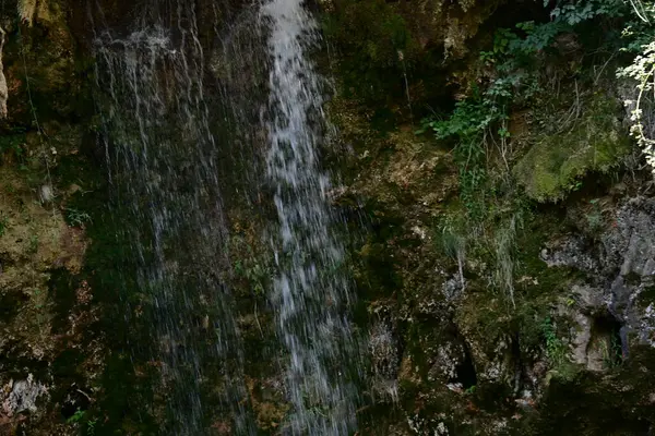 Ormanda güzel bir şelale