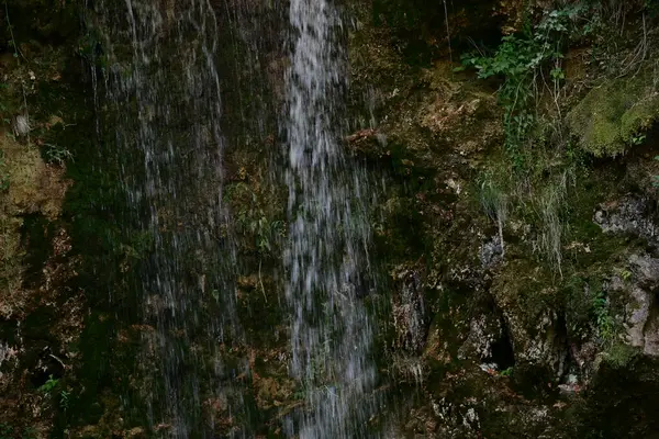 Ormanda güzel bir şelale