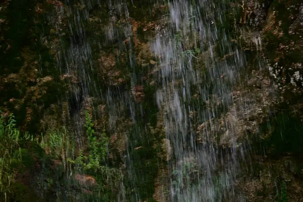 Ormanda güzel bir şelale