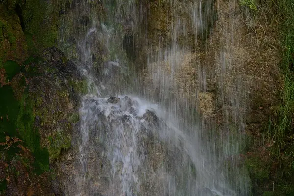 Ormanda güzel bir şelale