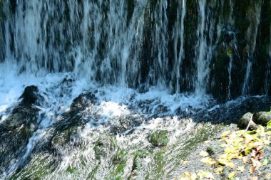 Ormanda güzel bir şelale