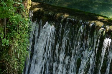 Ormanda güzel bir şelale