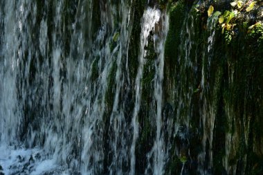 Ormanda güzel bir şelale