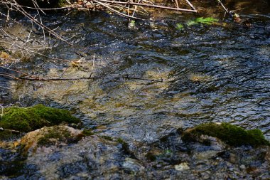 Ormandaki güzel su akıntısı