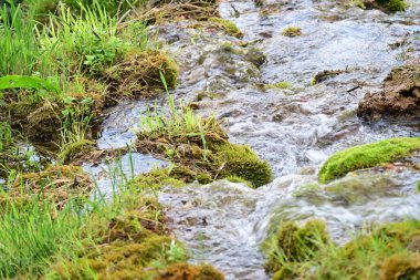 Ormanda güzel bir şelale 
