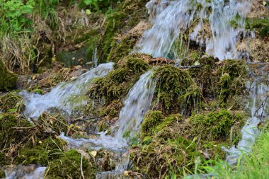 Ormanda güzel bir şelale 