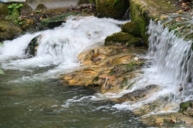 Ormanda güzel bir şelale 