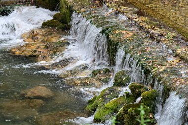 Ormanda güzel bir şelale 